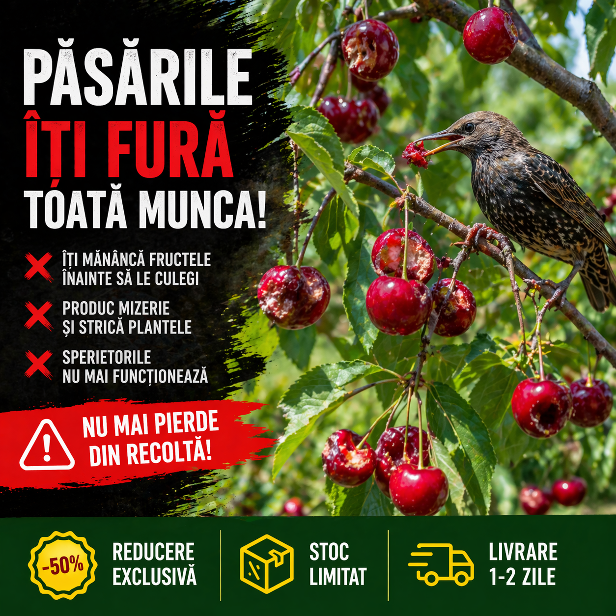 Protect™ Banda Anti Pasari irizata - 35 metri